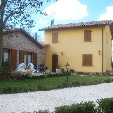 פרגולה Agriturismo Lo Sgorzolo מראה חיצוני תמונה